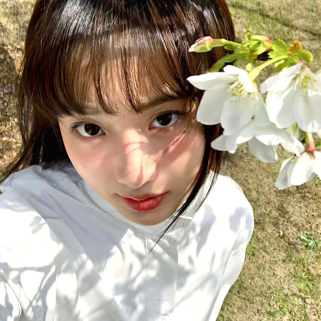 巅峰拍档第二十三季